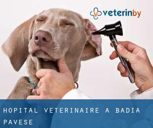 Hôpital vétérinaire à Badia Pavese