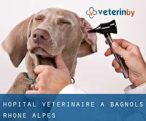 Hôpital vétérinaire à Bagnols (Rhône-Alpes)