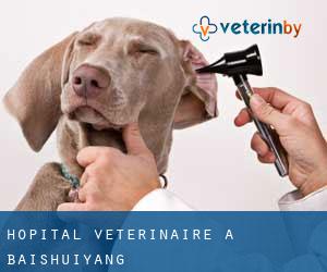 Hôpital vétérinaire à Baishuiyang