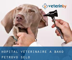 Hôpital vétérinaire à Bačko Petrovo Selo