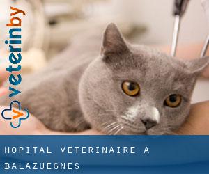 Hôpital vétérinaire à Balazuègnes
