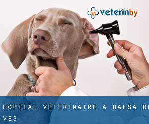 Hôpital vétérinaire à Balsa de Ves