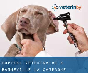 Hôpital vétérinaire à Banneville-la-Campagne