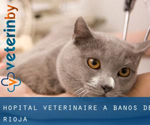 Hôpital vétérinaire à Baños de Rioja