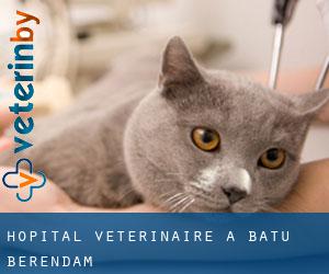Hôpital vétérinaire à Batu Berendam