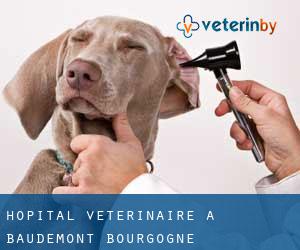 Hôpital vétérinaire à Baudemont (Bourgogne)