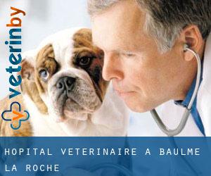 Hôpital vétérinaire à Baulme-la-Roche
