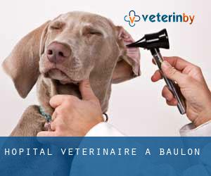 Hôpital vétérinaire à Baulon