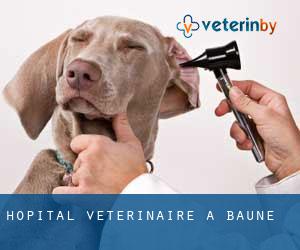 Hôpital vétérinaire à Bauné
