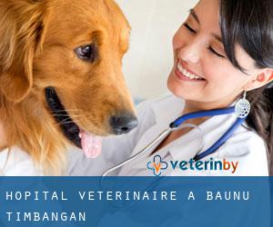 Hôpital vétérinaire à Baunu-Timbangan