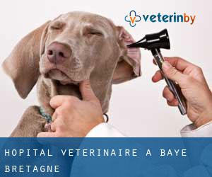 Hôpital vétérinaire à Baye (Bretagne)