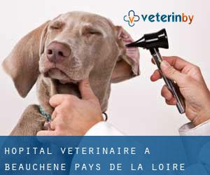 Hôpital vétérinaire à Beauchêne (Pays de la Loire)