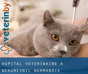 Hôpital vétérinaire à Beaumesnil (Normandie)