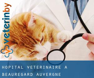 Hôpital vétérinaire à Beauregard (Auvergne)