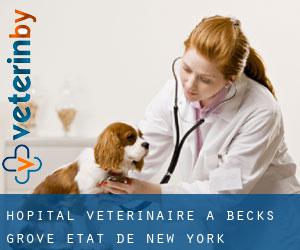 Hôpital vétérinaire à Becks Grove (État de New York)