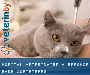 Hôpital vétérinaire à Beeghof (Bade-Wurtemberg)