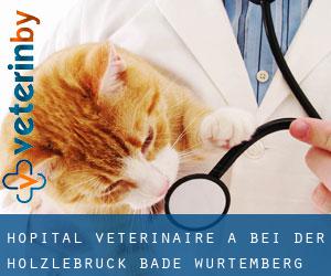 Hôpital vétérinaire à Bei der Hölzlebruck (Bade-Wurtemberg)