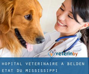Hôpital vétérinaire à Belden (État du Mississippi)