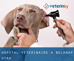 Hôpital vétérinaire à Belknap (Utah)