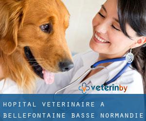 Hôpital vétérinaire à Bellefontaine (Basse-Normandie)