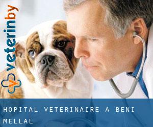 Hôpital vétérinaire à Beni-Mellal