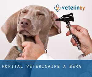 Hôpital vétérinaire à Bera