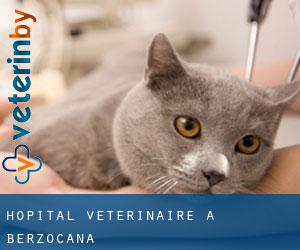 Hôpital vétérinaire à Berzocana
