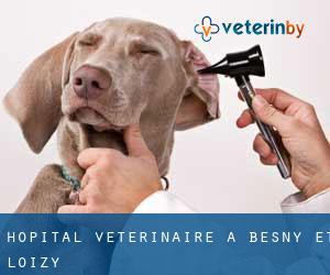 Hôpital vétérinaire à Besny-et-Loizy