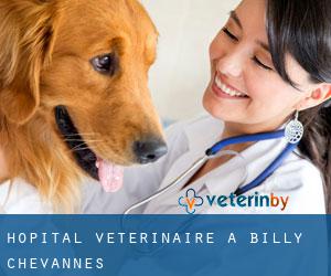Hôpital vétérinaire à Billy-Chevannes