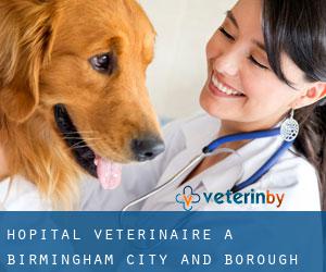 Hôpital vétérinaire à Birmingham (City and Borough)