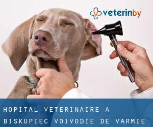 Hôpital vétérinaire à Biskupiec (Voïvodie de Varmie-Mazurie)