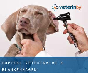 Hôpital vétérinaire à Blankenhagen