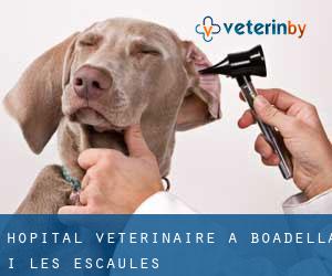 Hôpital vétérinaire à Boadella i les Escaules