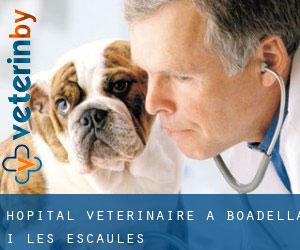 Hôpital vétérinaire à Boadella i les Escaules