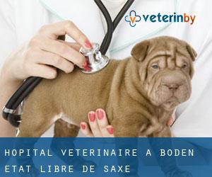 Hôpital vétérinaire à Boden (État libre de Saxe)