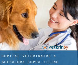 Hôpital vétérinaire à Boffalora sopra Ticino
