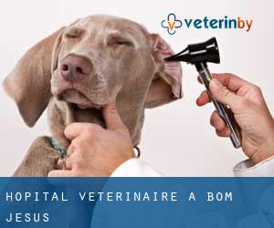 Hôpital vétérinaire à Bom Jesus