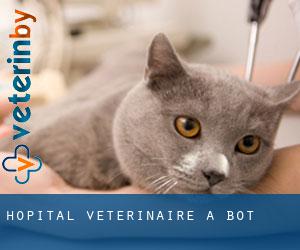 Hôpital vétérinaire à Bot