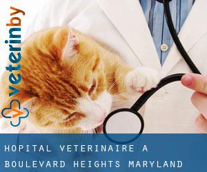 Hôpital vétérinaire à Boulevard Heights (Maryland)