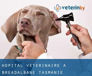 Hôpital vétérinaire à Breadalbane (Tasmanie)