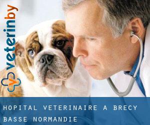 Hôpital vétérinaire à Brécy (Basse-Normandie)