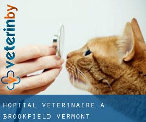 Hôpital vétérinaire à Brookfield (Vermont)