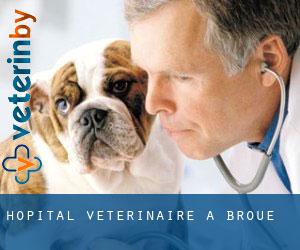 Hôpital vétérinaire à Broué
