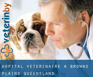 Hôpital vétérinaire à Browns Plains (Queensland)