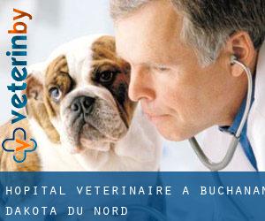 Hôpital vétérinaire à Buchanan (Dakota du Nord)