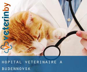 Hôpital vétérinaire à Budënnovsk
