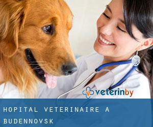 Hôpital vétérinaire à Budënnovsk