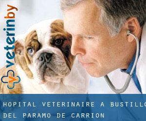 Hôpital vétérinaire à Bustillo del Páramo de Carrión