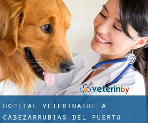 Hôpital vétérinaire à Cabezarrubias del Puerto