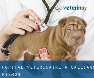 Hôpital vétérinaire à Calliano (Piémont)